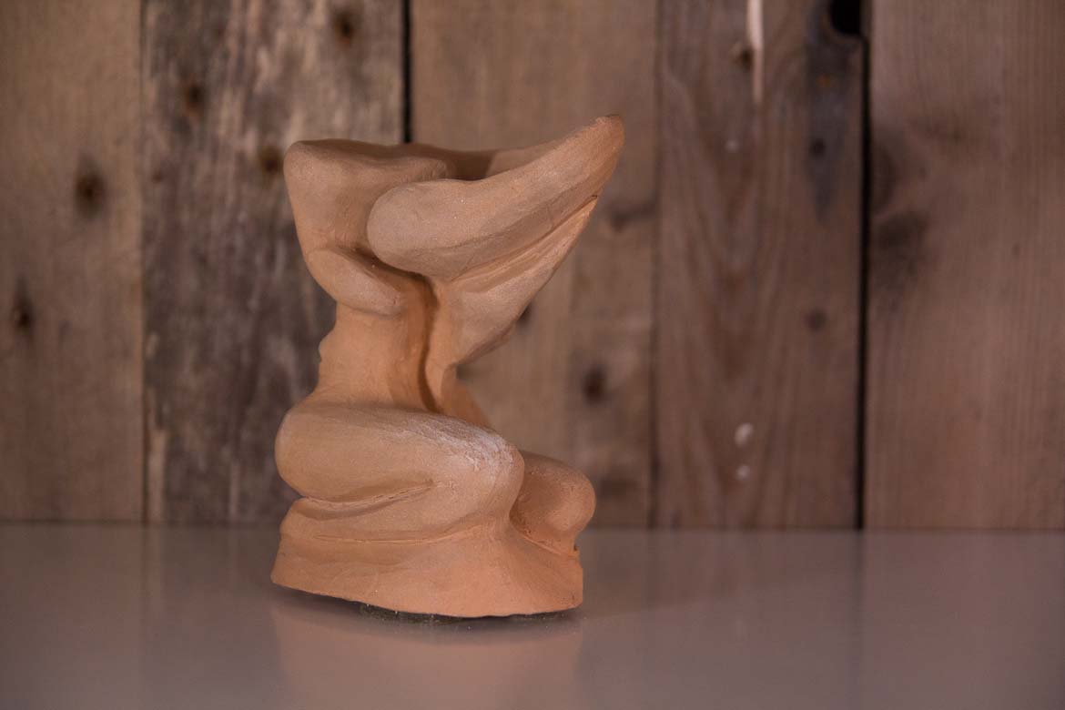 Selene - Guerriera della luce